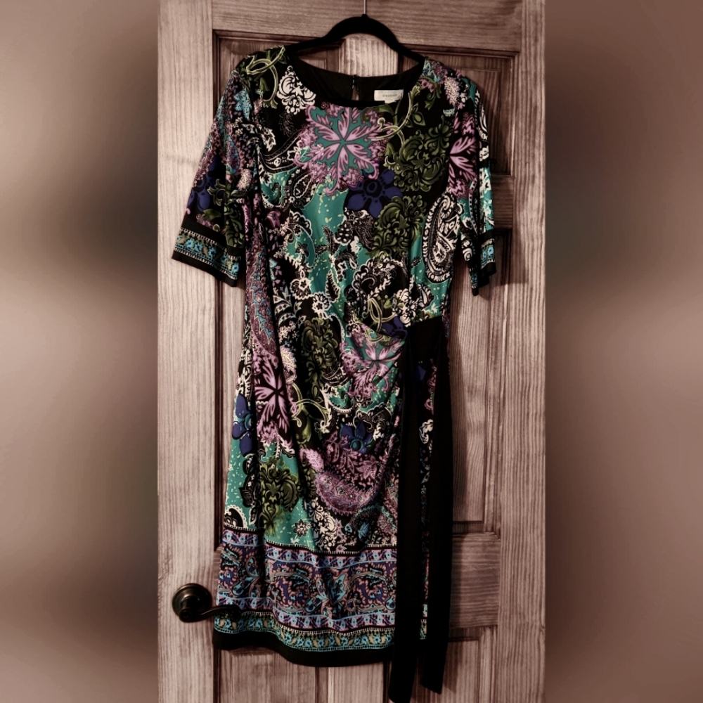 Dress Barn Dress